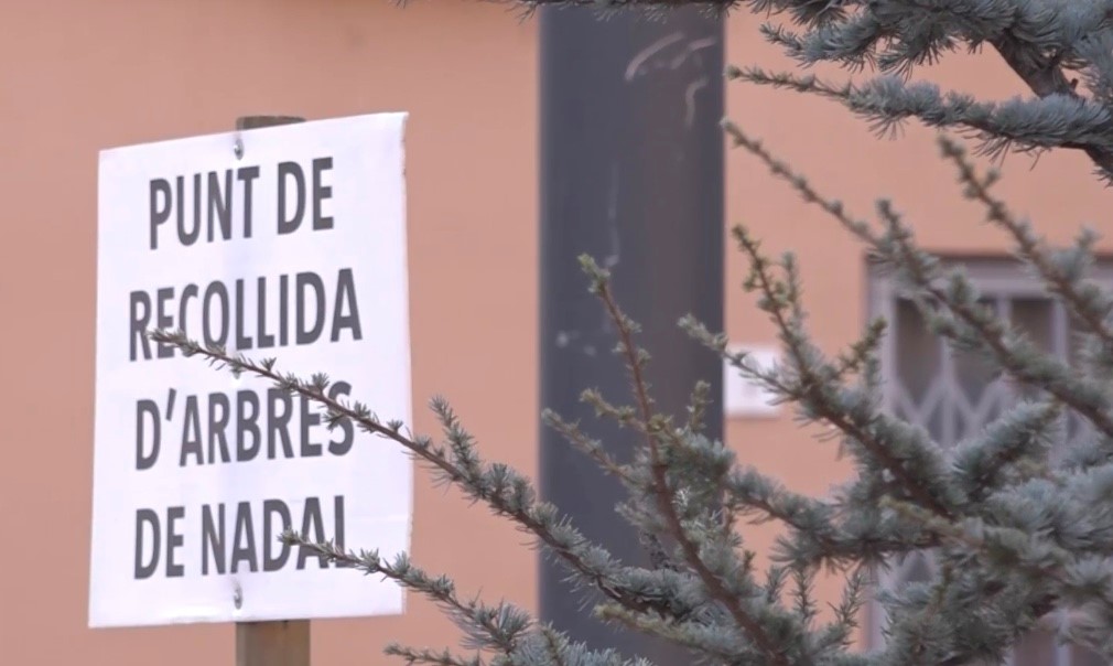 Punt de recollida d’arbres de Nadal