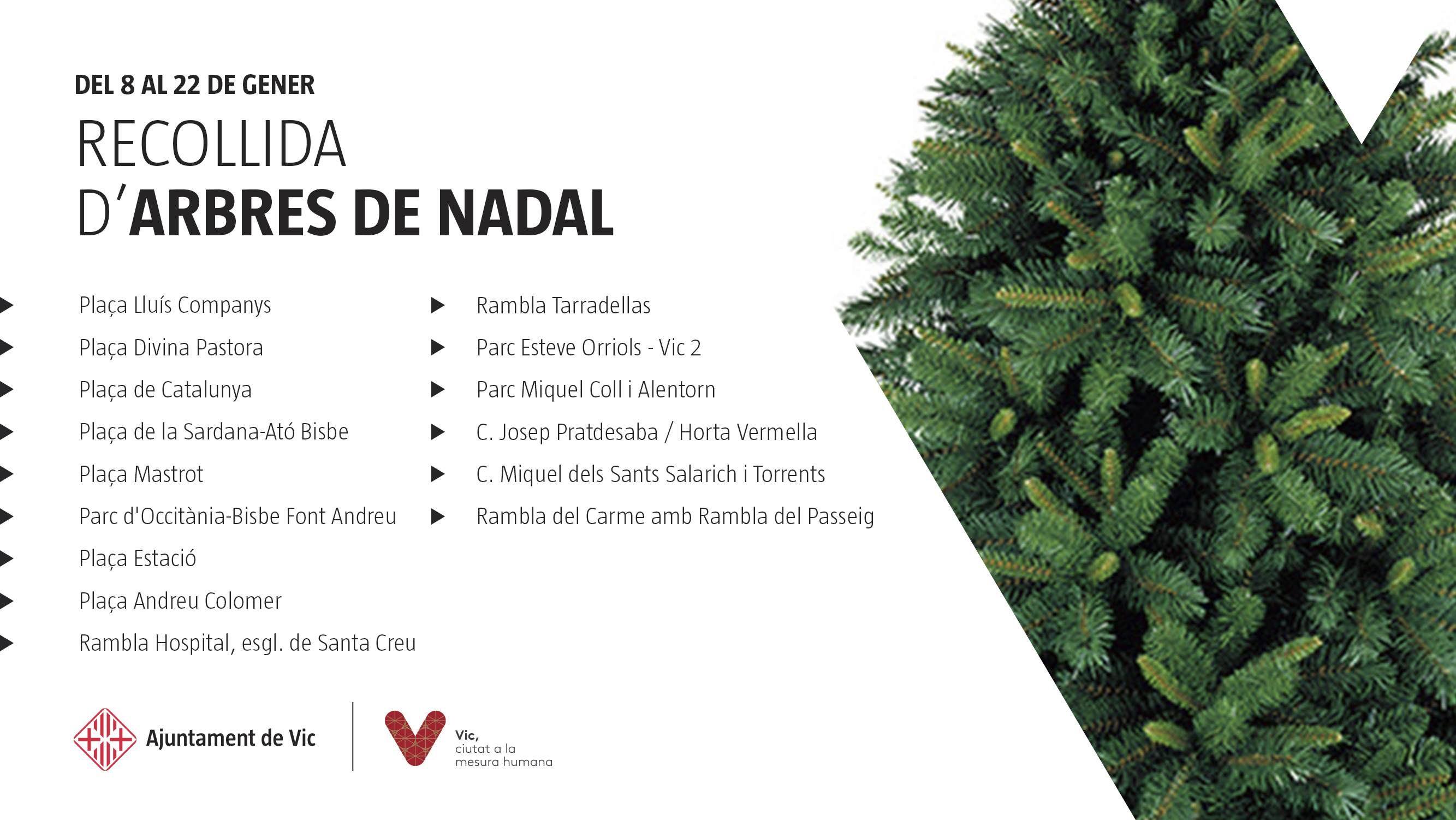 Cartell informatiu de la campanya de recollida d'arbres de Nadal