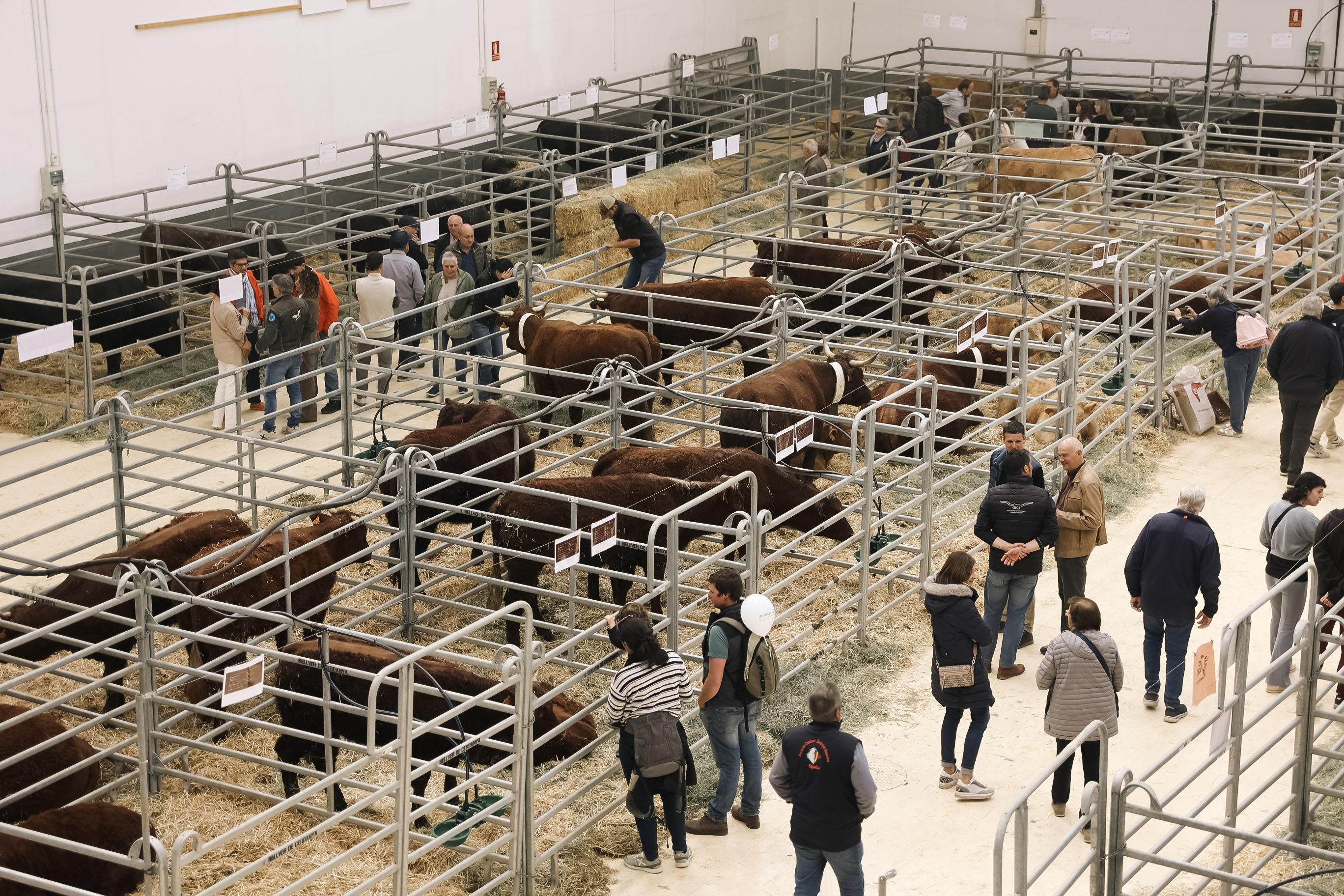 Mercat del Ram 2025