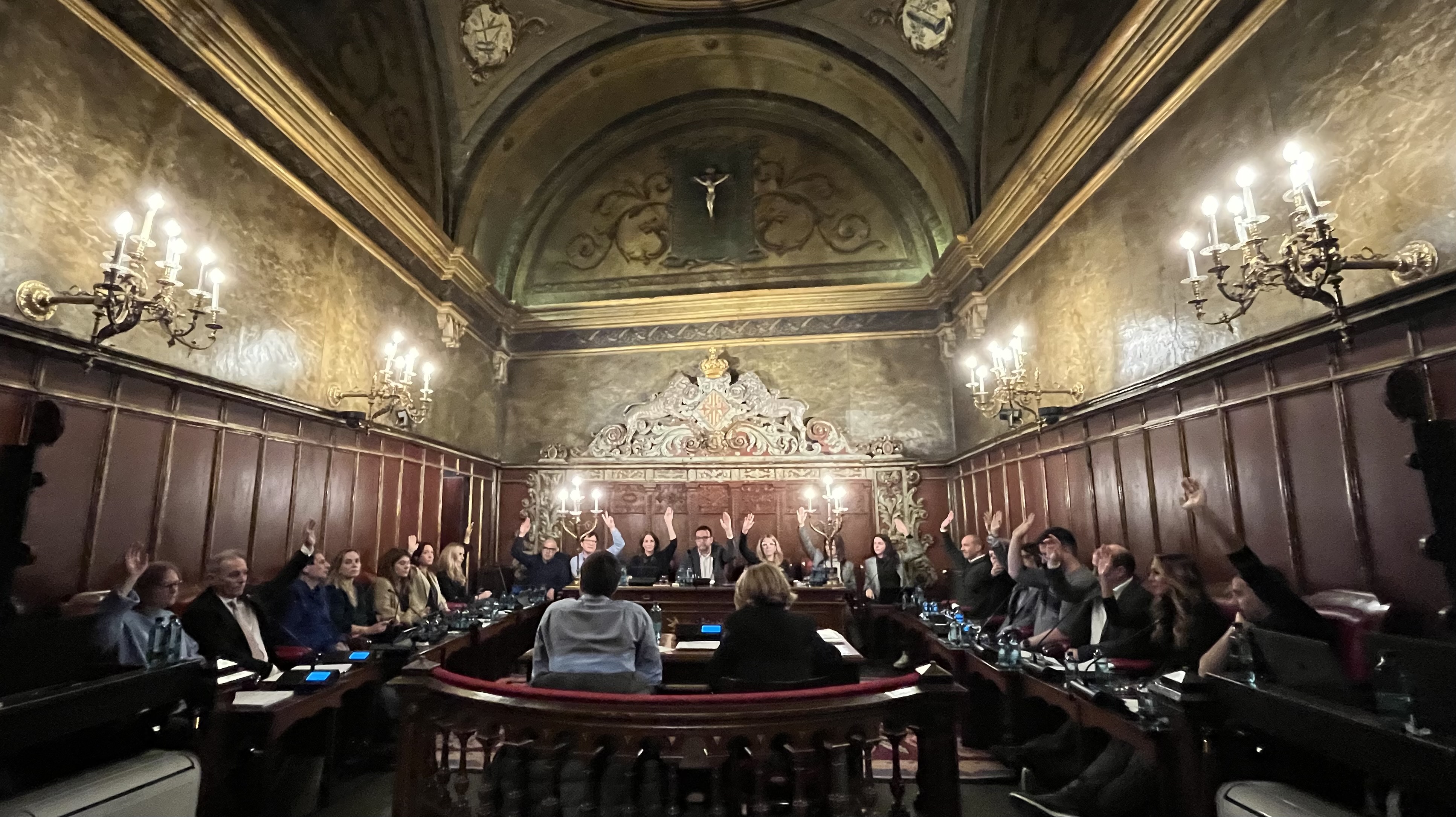 Ple municipal del 2 de desembre de 2024