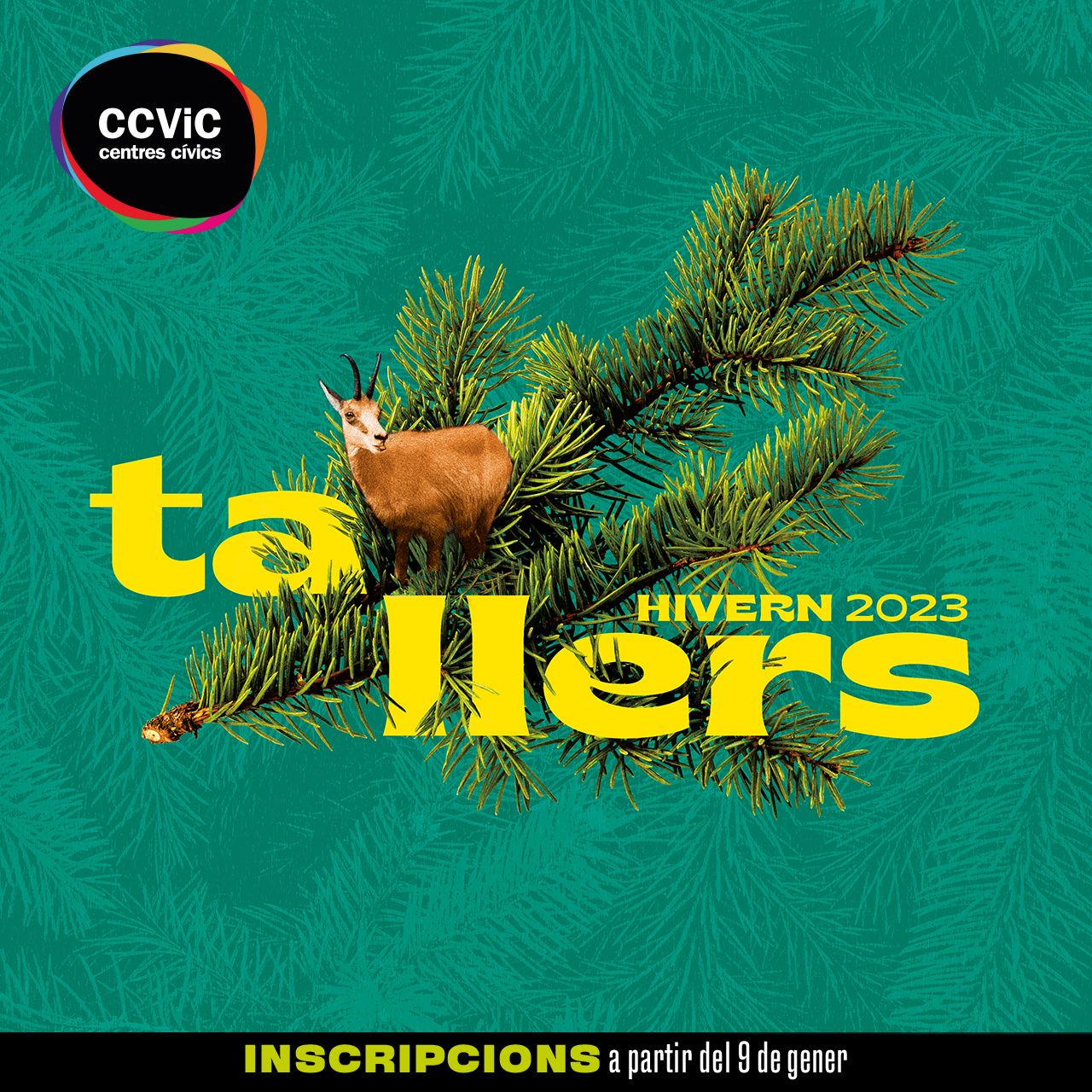 Cartell dels CCVIC