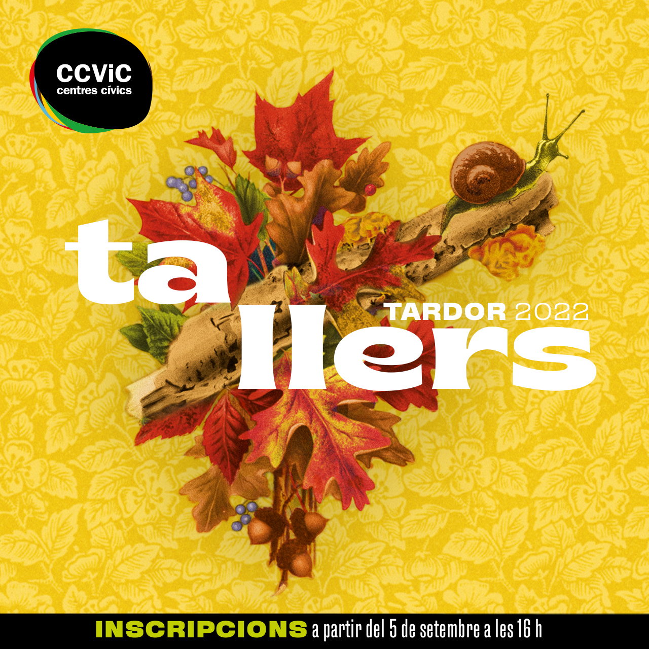 Programa de setembre a desembre dels Centres Cívics de Vic