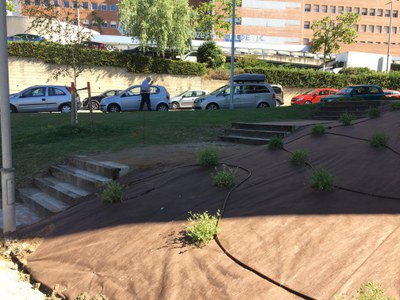  Estat del parc Josep M. Anglada i d’Abadal després de les obres.