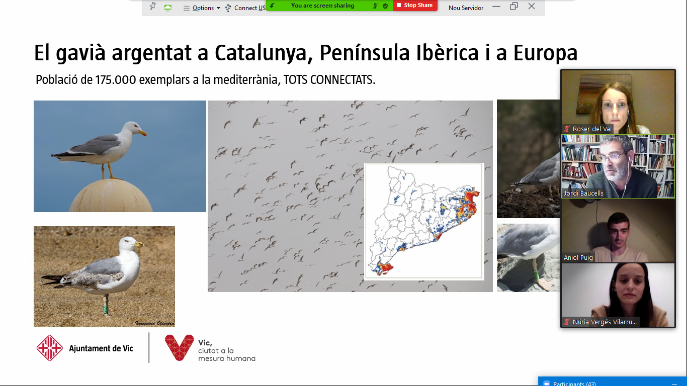 Sessió informativa telemàtica