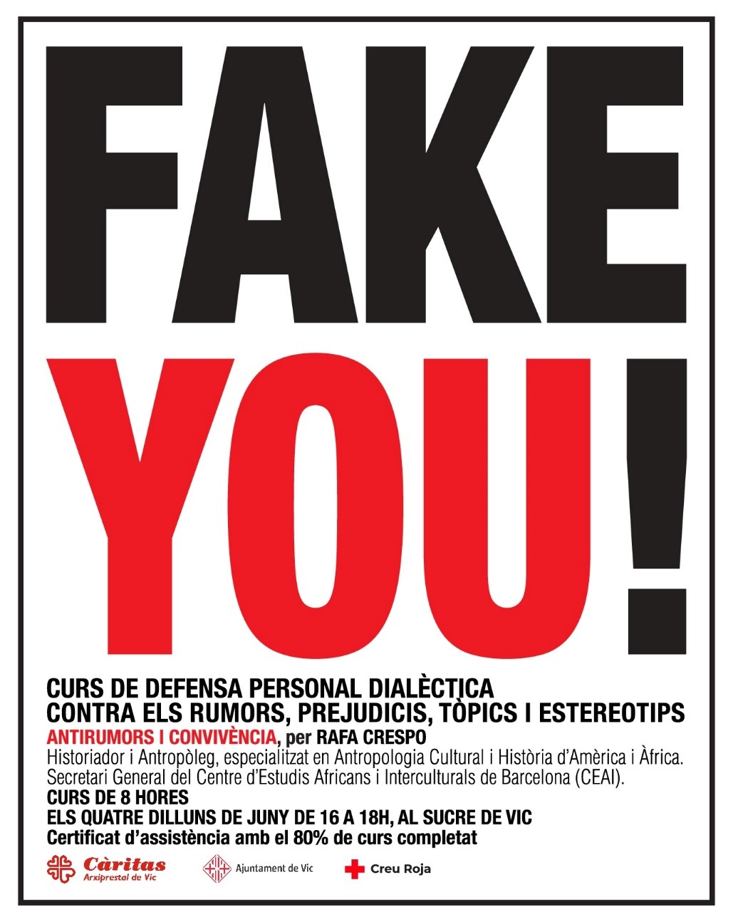 Cartell de la formació “Fake You”