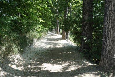 L’Anella Verda, l’activitat física a l’aire lliure i els murals participatius als barris, projectes guanyadors dels Pressupostos Participatius de Vic