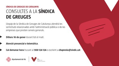La Síndica de Greuges de Catalunya atendrà queixes el dilluns 16 de gener.