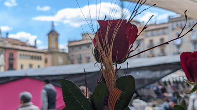 Parada de roses a la plaça Major per Sant Jordi.