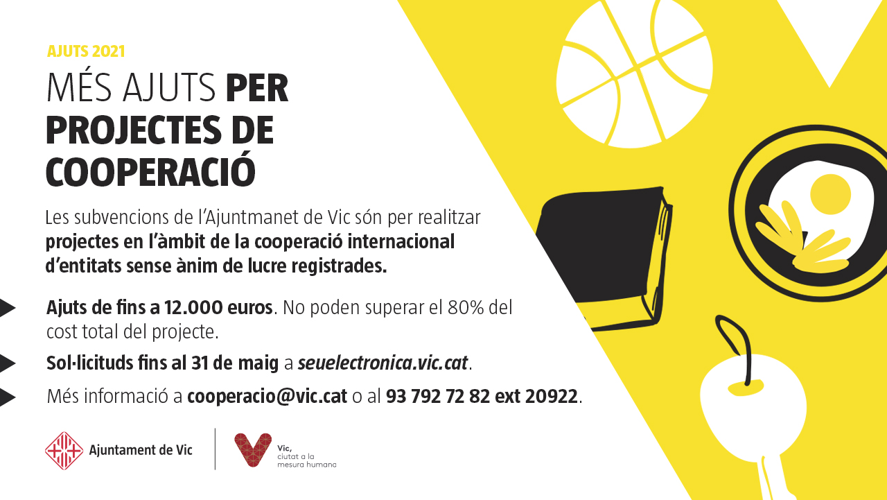 Ajuts econòmics per projectes de cooperació internacional 