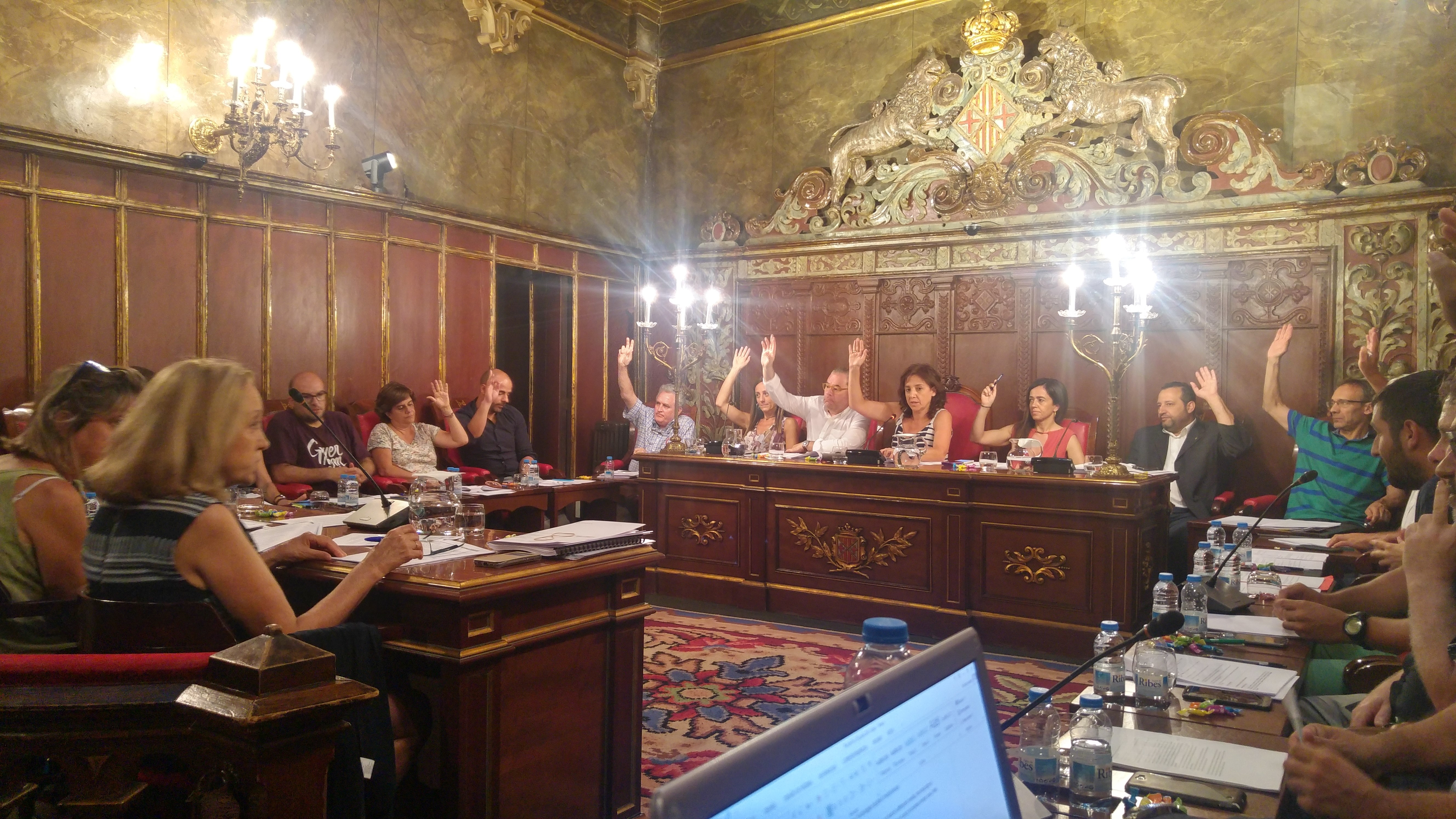 Ple del 26 de juliol