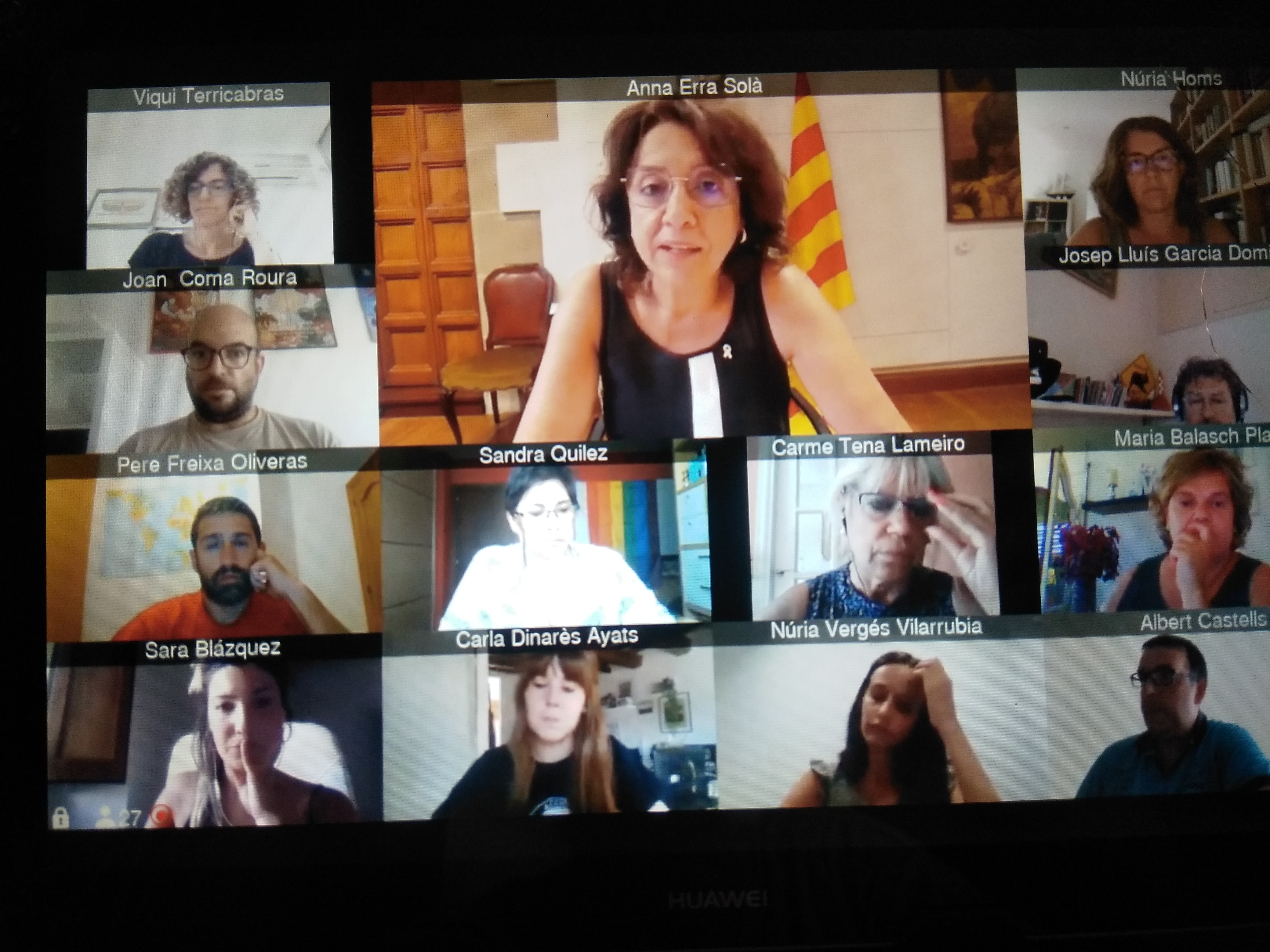 Ple telemàtic del juliol