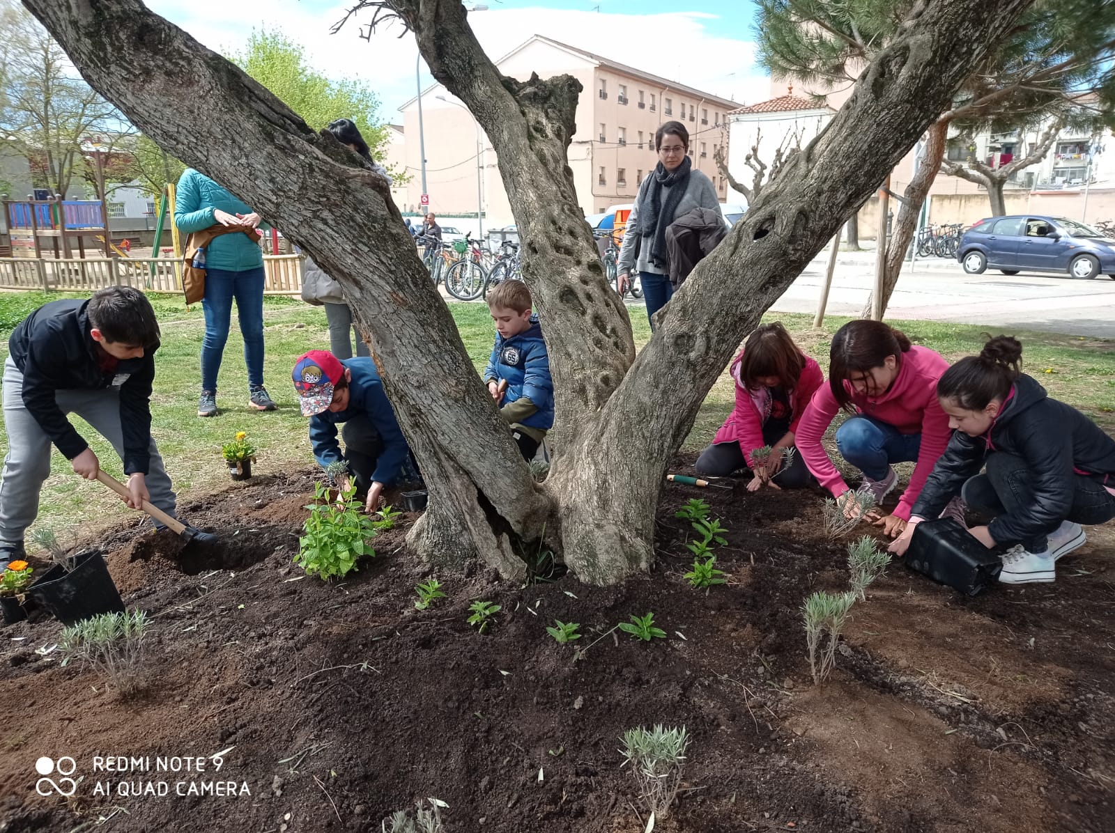 Taller de plantes aromàtiques