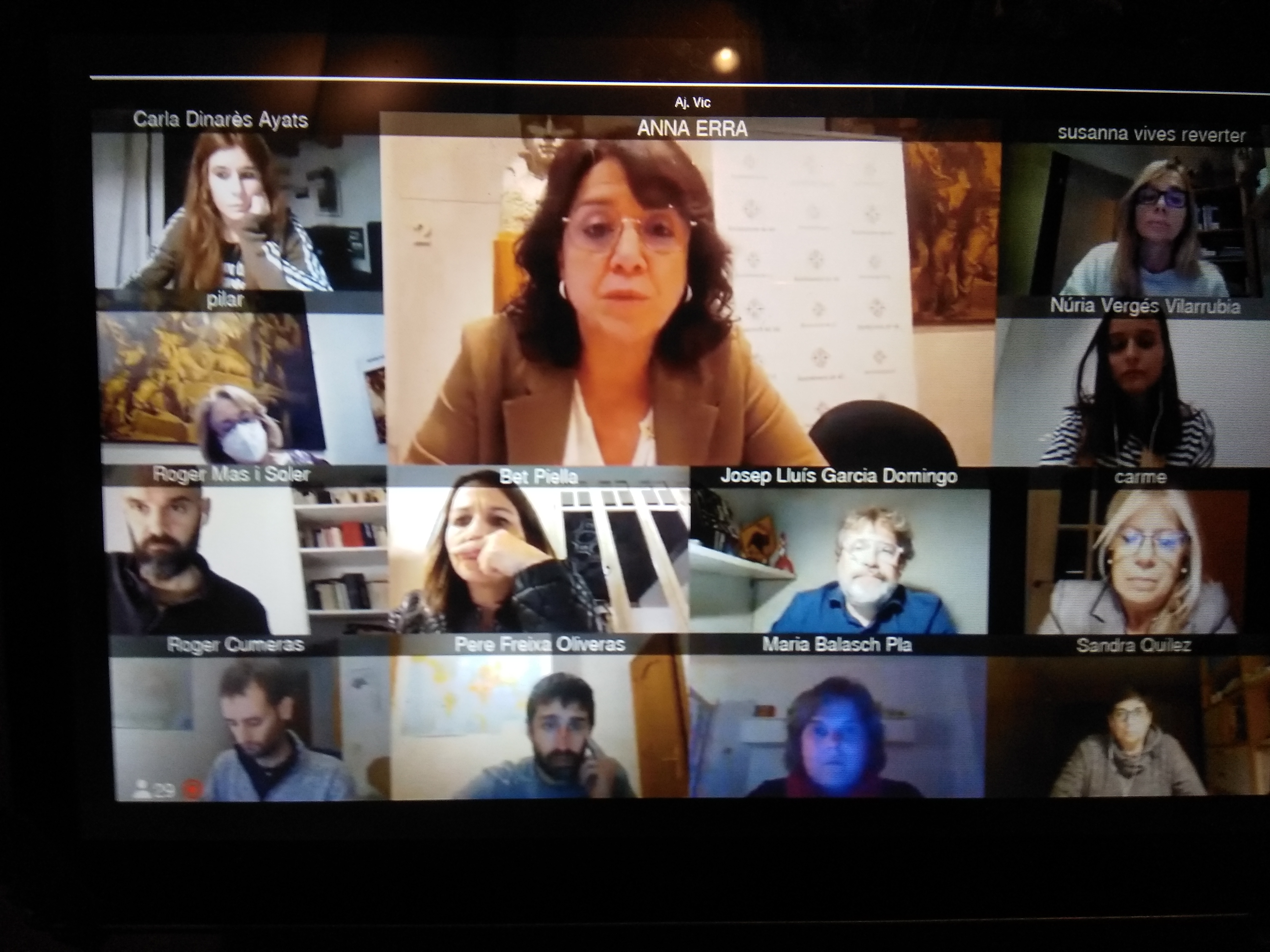 Ple telemàtic d'ahir dimecres