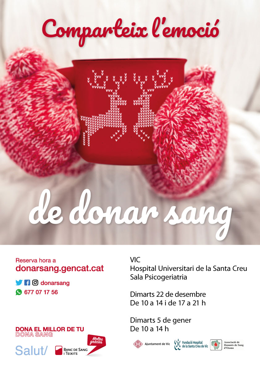 Cartell de la propera campanya de Nadal