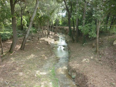 Vic promou la neteja de les lleres dels rius amb l’objectiu de minimitzar els riscos en punts sensibles.
