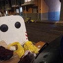 Imatge incidència 20260