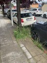 Imatge incidència 20608