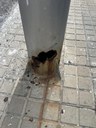 Imatge incidència 20614