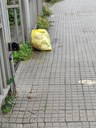 Imatge 2 incidència 20666