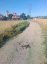 Imatge incidència 20813
