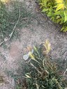 Imatge incidència 20931