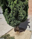 Imatge 2 incidència 21337