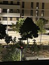 Imatge 2 incidència 21373