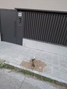 Imatge incidència 21475