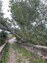 Imatge incidència 21548