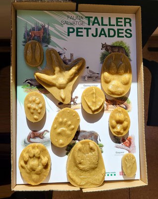 A la natura no deixis rastre.