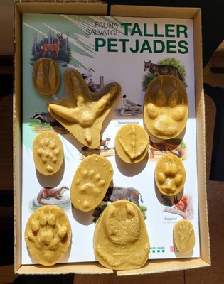 A la natura no deixis rastre.