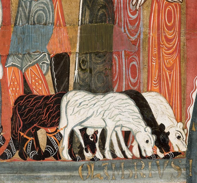 Els animals del museu.