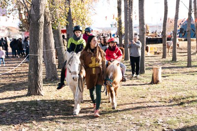 Passejades amb Ponis.