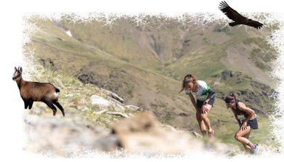 Qui pot córrer per la muntanya? .