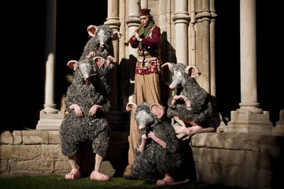 Rats! - Campiquipugui .