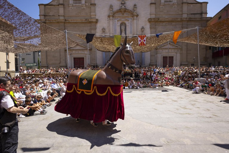 faju20240705-328.jpg faju20240705-328.jpg