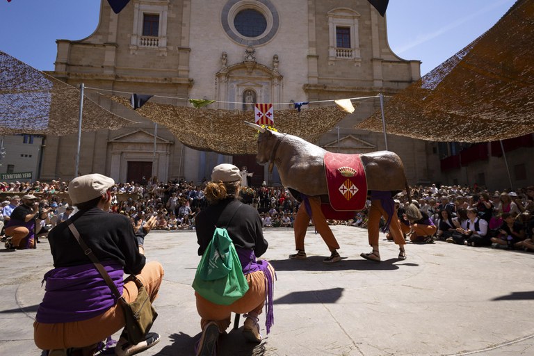 faju20240705-324.jpg faju20240705-324.jpg