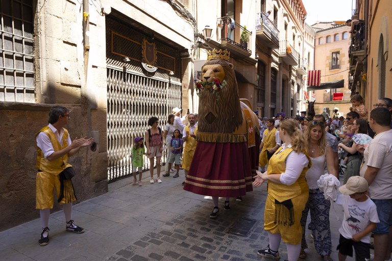 faju20240705-378.jpg faju20240705-378.jpg