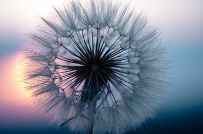 Com viure el dol i alhora prendre cura dels fills.