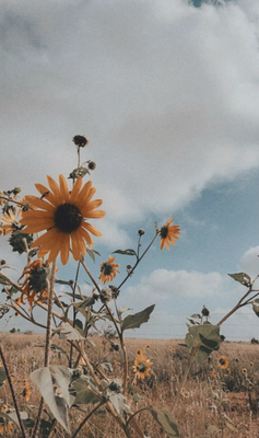 El camí de cuidar-se en la pèrdua.