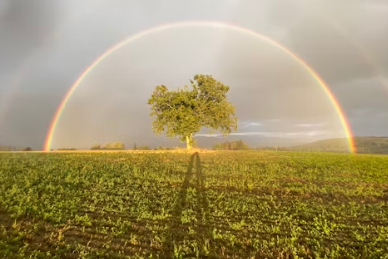 Taller sobre dol II.