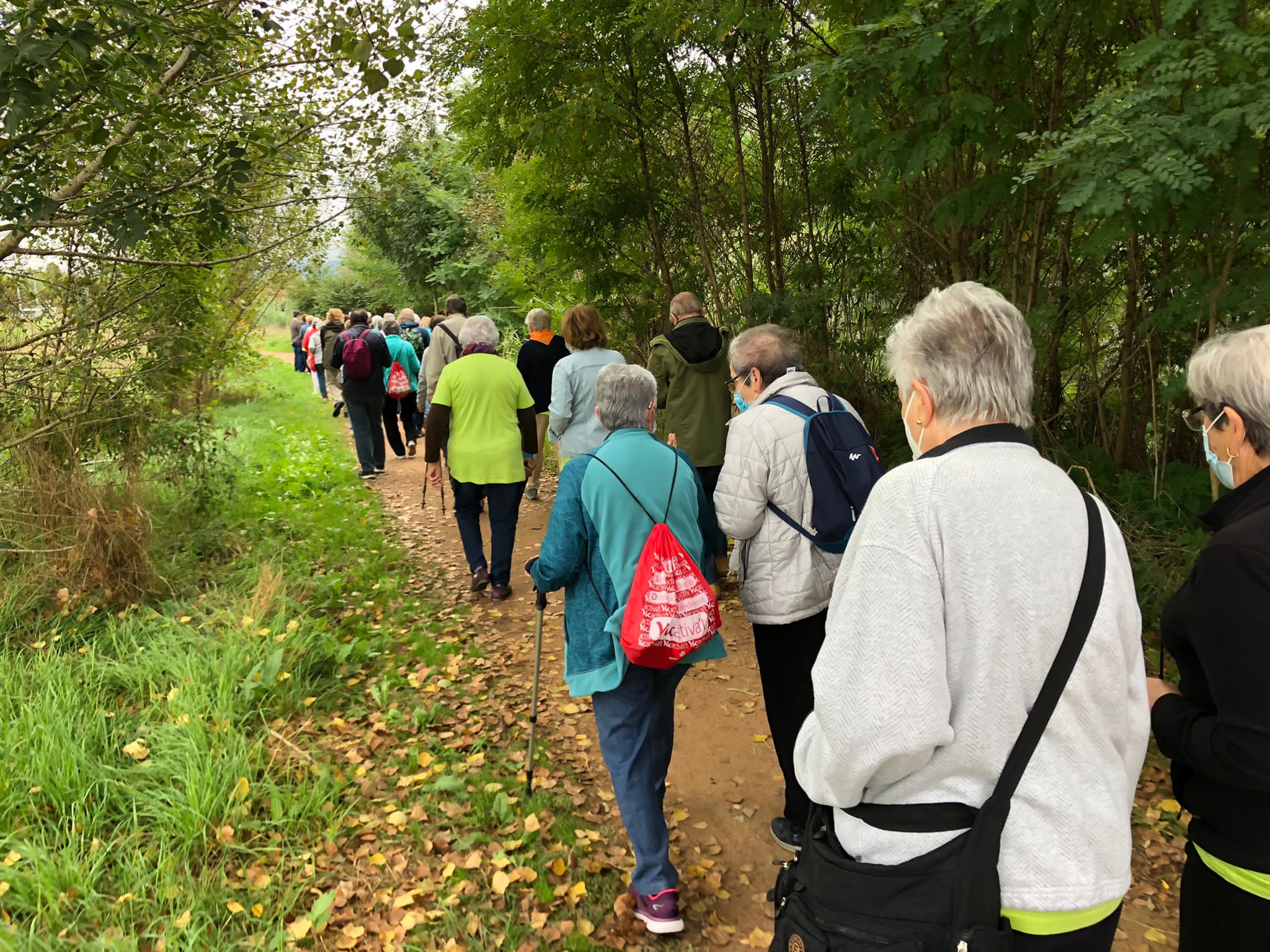 Participants al recorregut mitjà de 5 quilòmetres