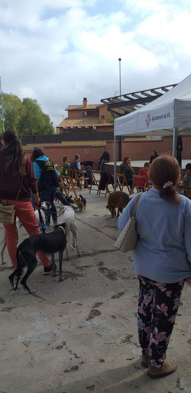 jornada conscienciació animal