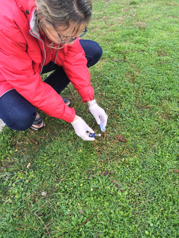 recull mostres de femtes.png