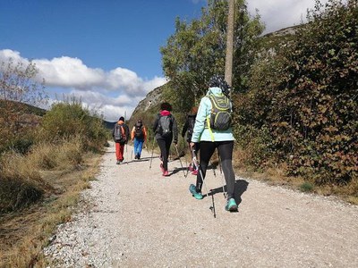 Imatge de persones caminant amb bastons per un sender local. Imatge cedida per Aquaterraclub..