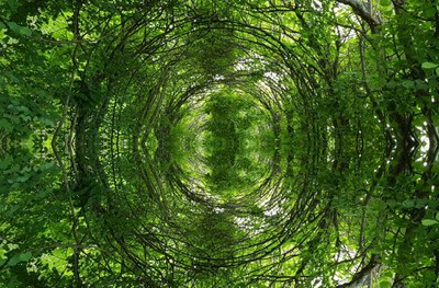 Comunicació conscient.