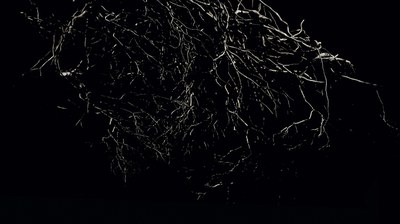 Cants del pou. Arrelances.