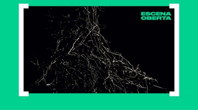 Presentació d’Arrelances.