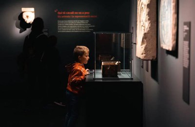 Bèsties fantàstiques i on trobar-les.