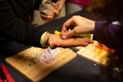 DOLORS, REMEIS I CURES.